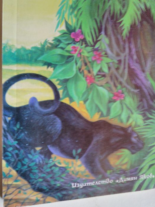 „Книга за джунглата“ Ръдиард Киплинг, 2 части