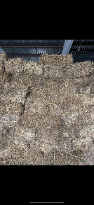 Продам Сено , Разнотравья