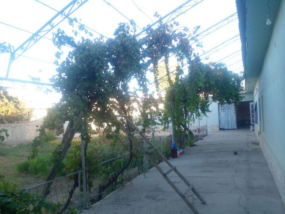 Uchastka hovli sotiladi 16 sotix