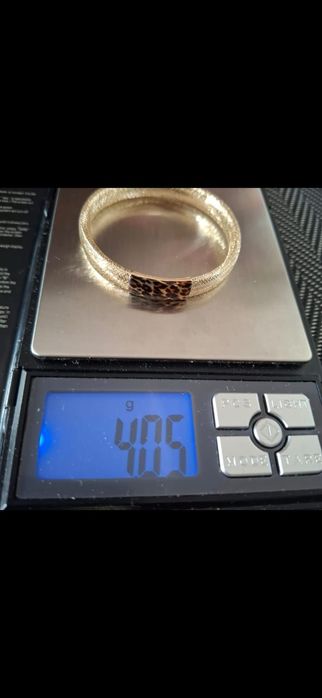 Bratara aur elastica