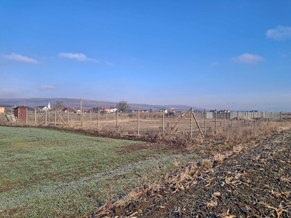 Vand teren in localitatea Livada,CJ, cu proiect casa!