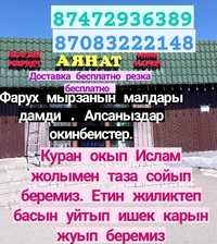 Кой Бараны токтушки продаётся 35000тысч г Алматы 0000