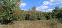 Teren extravilan zona liniștită "Deschidere la pădure"