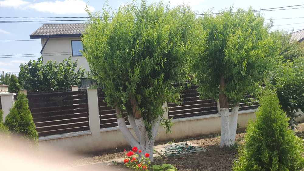 Vând casa P+M,sat Costi