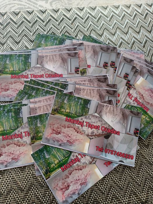 Montaj Tapet și fototapet