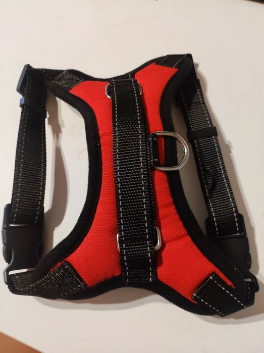 Нова каишка за куче