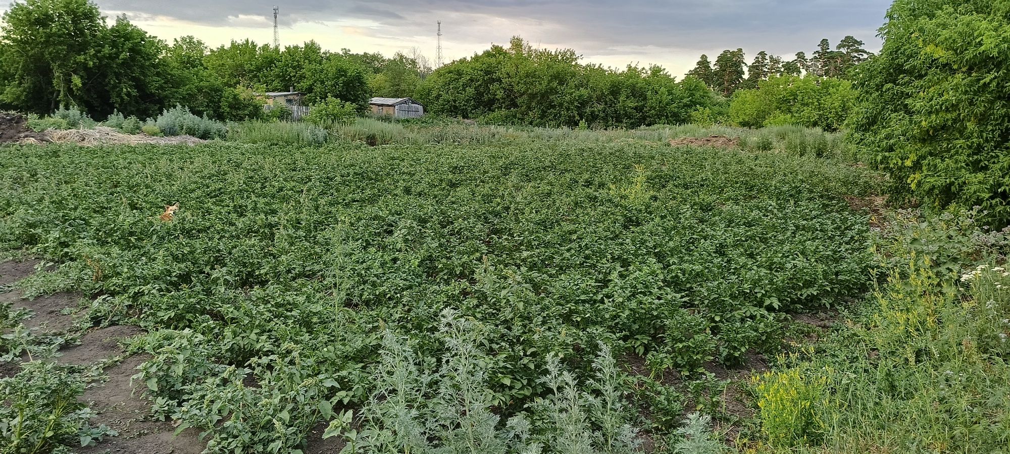 Продам отдельно стоящий дом