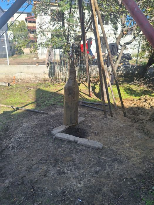 Foraje puturi ROMANIA!