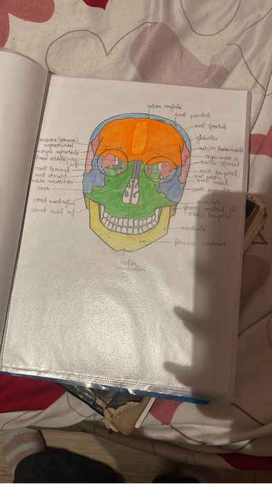 Ofer meditatii biologie bac valcea/online