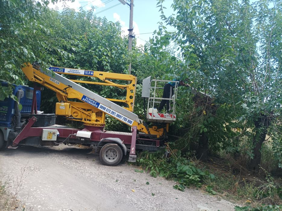 Рязане на опасни дървета