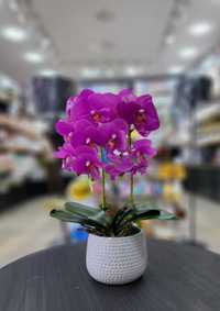 Орхидея хитой махсулоти  суний