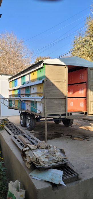 Асал ари вагони сотилади срочно