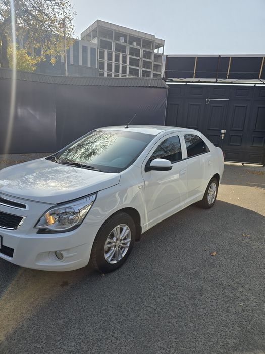Cobalt ltz full pazitsya