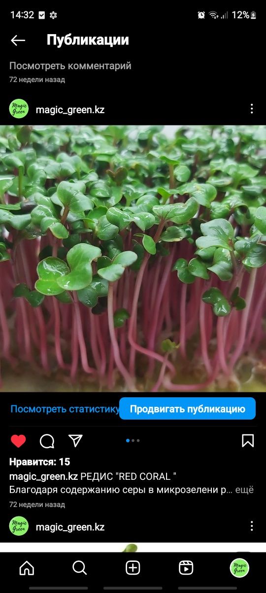 Микрозелень Алматы