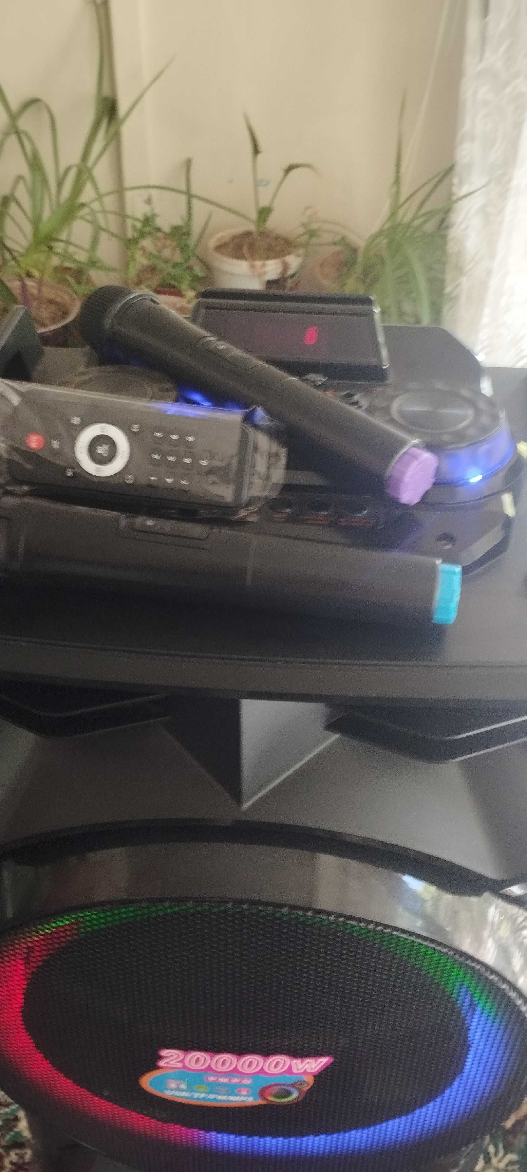 Professional battery speaker