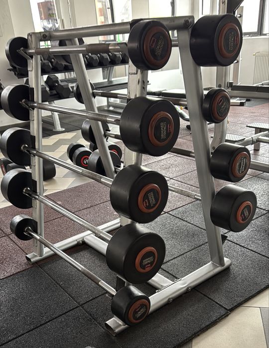 Set haltere hammer strength