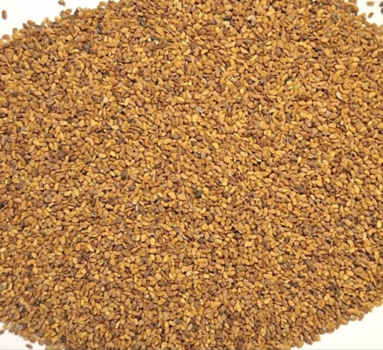 Vand seminte de lucerna in cantitati mari este ambalata la saci de 25k