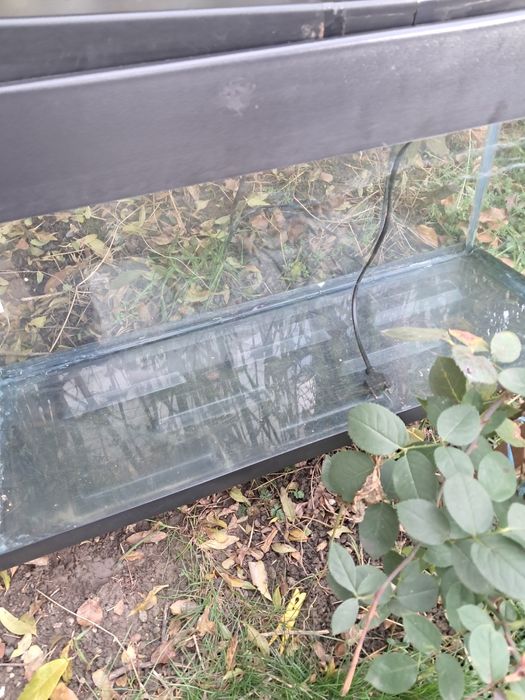 Acvariu de 100 de litri