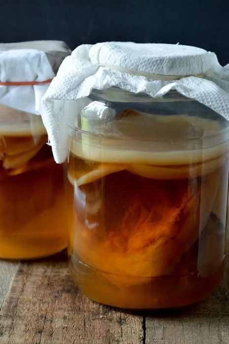 Kombucha  Ciuperca