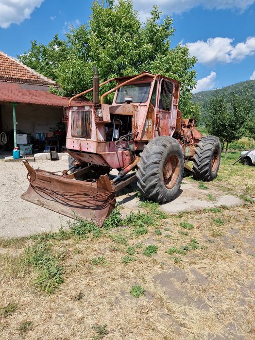 Vând TAF Romanesc