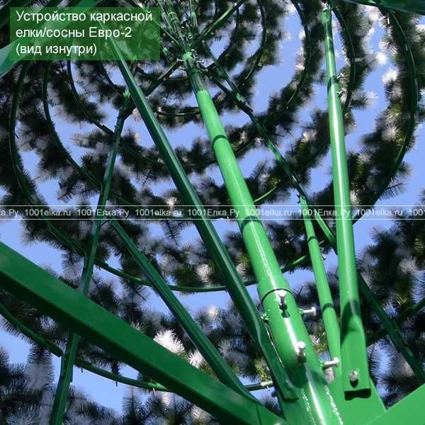 Ёлки на любой вкус цвет и высоту тока у нас от 2метра до 30метра