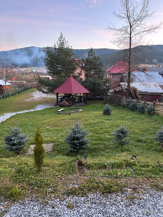 Cabana La Trei Brazi Carlibaba