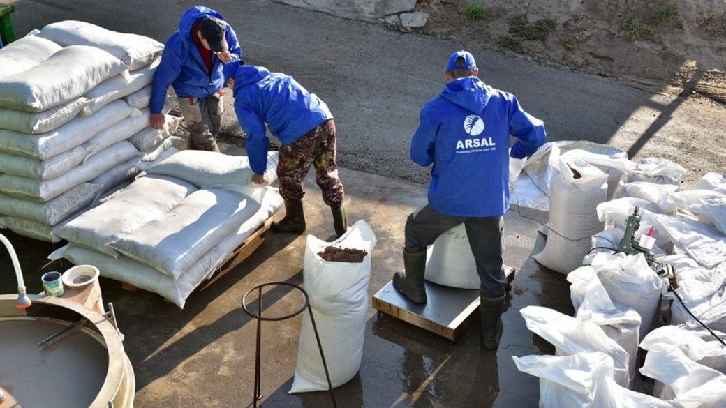 АРТЕМИЯ ЦИСТАСЫН тазалап, ПЕРЕРАБОТКА қылып, ЭКСПОРТҚА таярлап беремиз