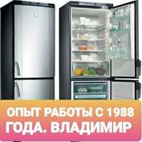 Профессиональный ремонт холодильников и морозильников