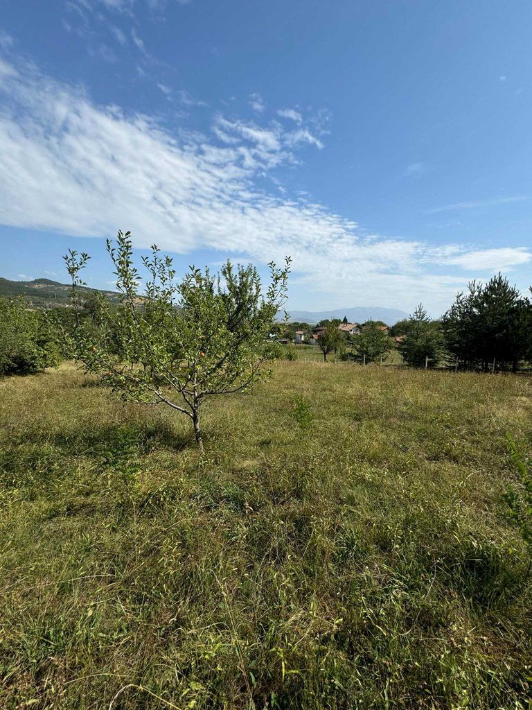 Продава се Парцел в с. Жиленци, Област Кюстендил - 6850 кв.м за 17 €/кв.м - Снимка #5