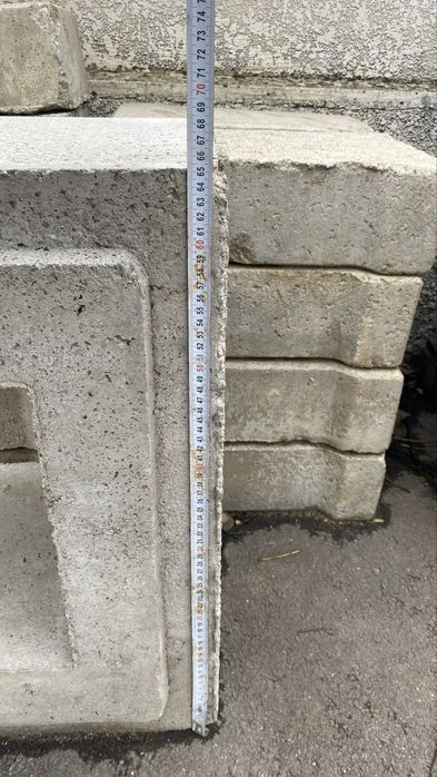 Rigola Carosabila armata