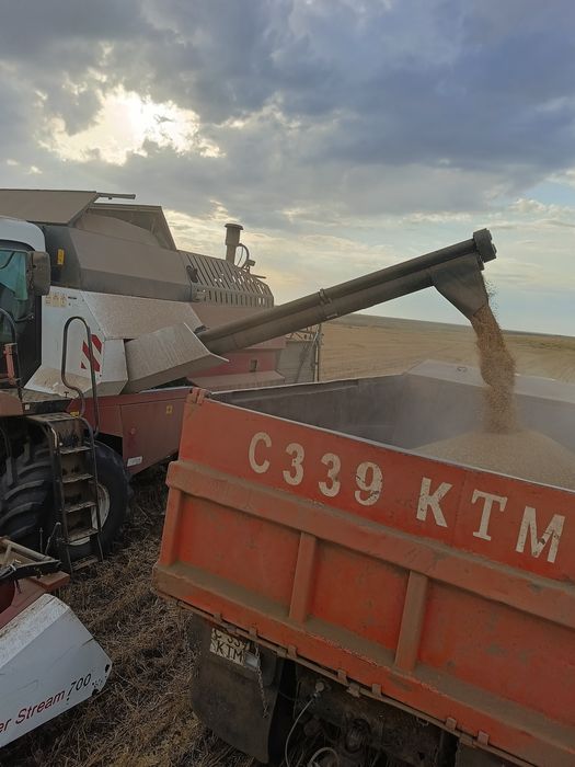 Продам пшеницу с нового урожая клейковина 28-29