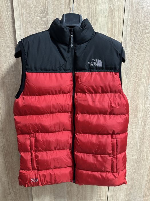 Vesta the north face