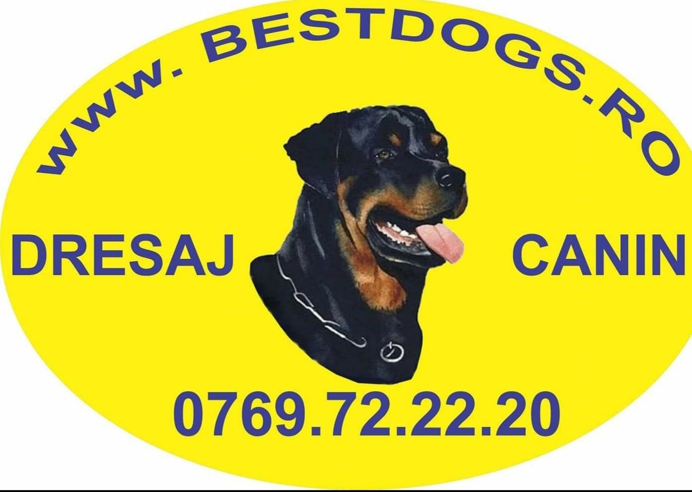 Efectuam servicii si educatie canina