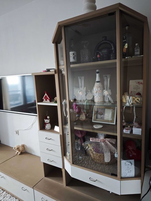 Голяма холна секция