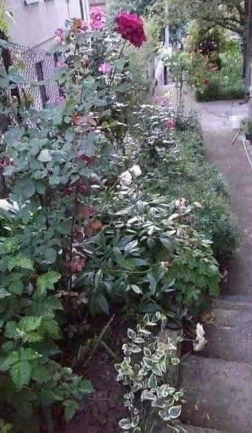 Продавам масивна триетажна къща в гр.Трявна