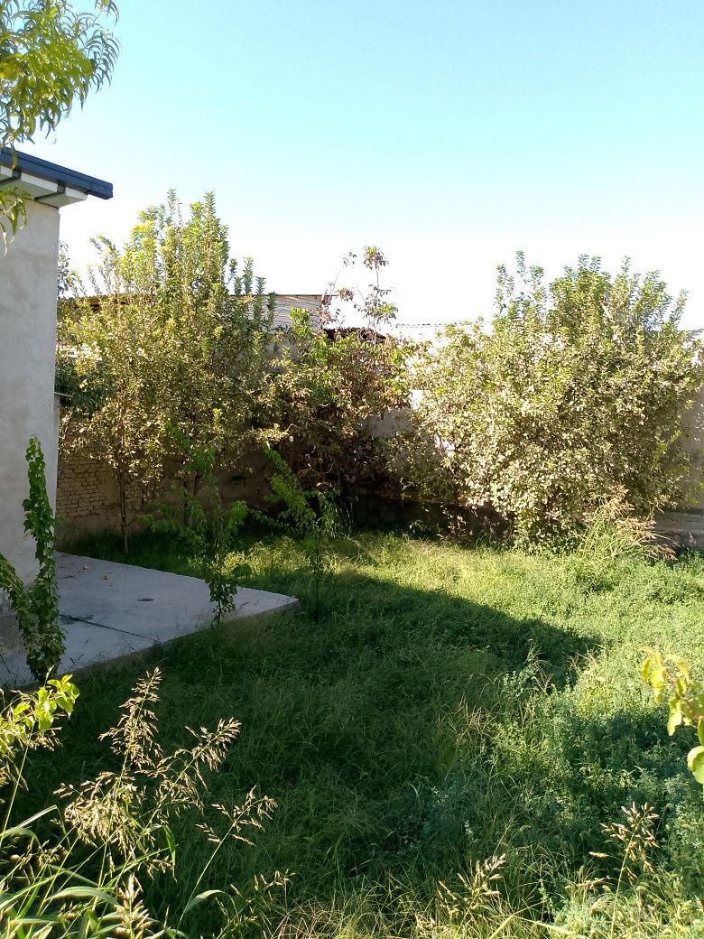 Яшаш хама кулайликларига эга тайор Ховли сотилади