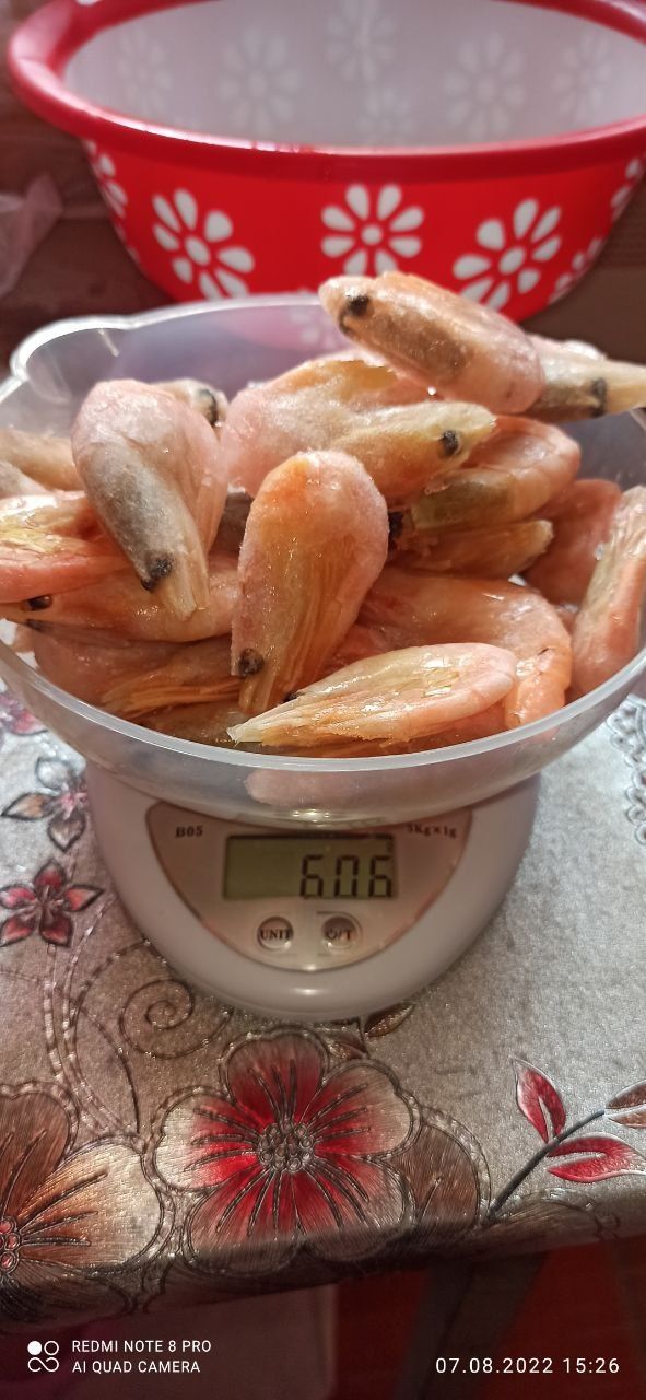 Фарш для дискусов и других рыб