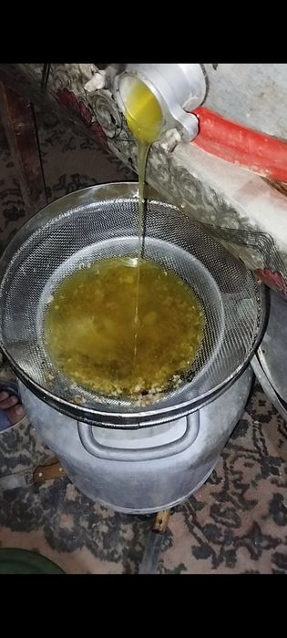 Halol asal soqoq asali