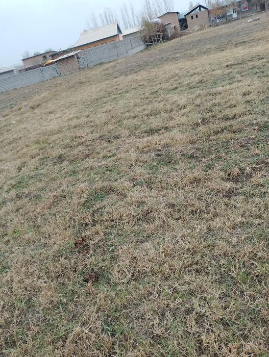 Yer sotiladi sariosiyo tumani shoxijahon mahalasi Xasanaobod qishlogi