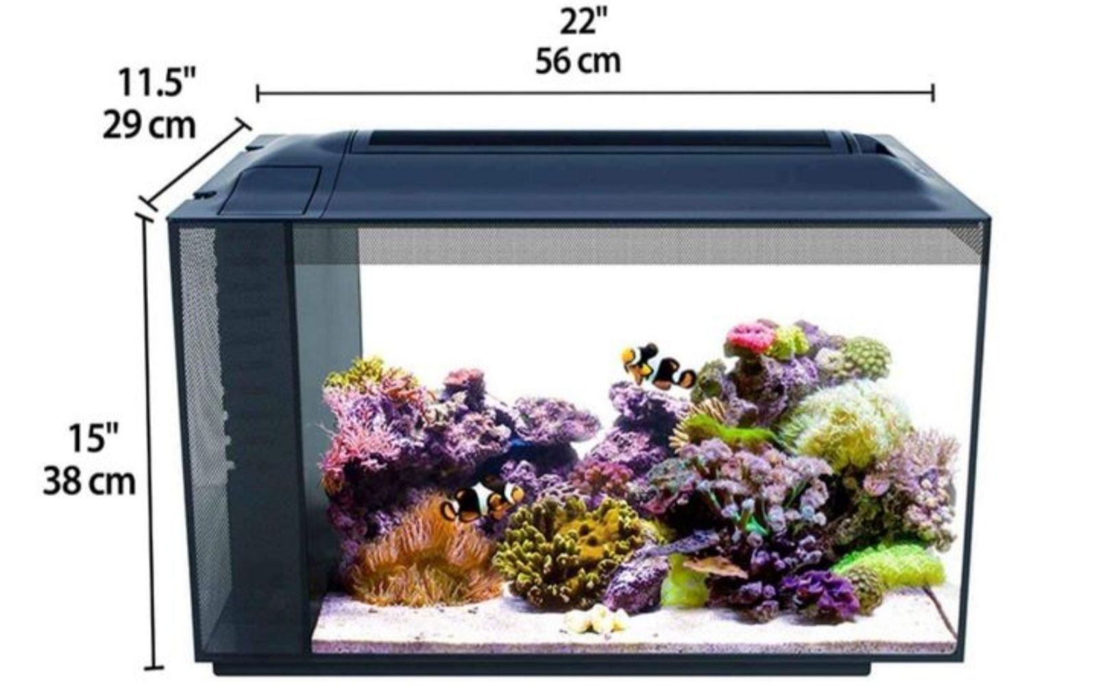 Acvariu marin de 52 litri