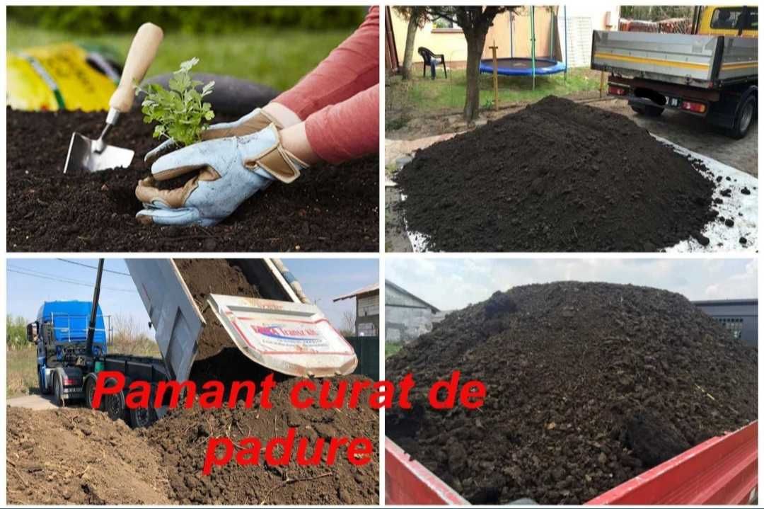 Transport Moloz nisip balastru pamant gazon etc