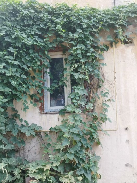 Продаются пластиковые окна