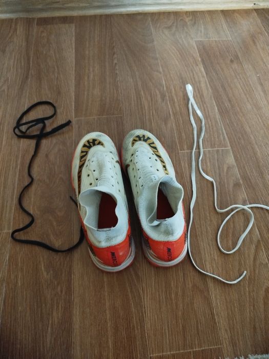 Продаю сороконожки оранжево-белые цветом