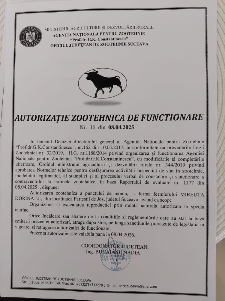 Vând taur autorizat