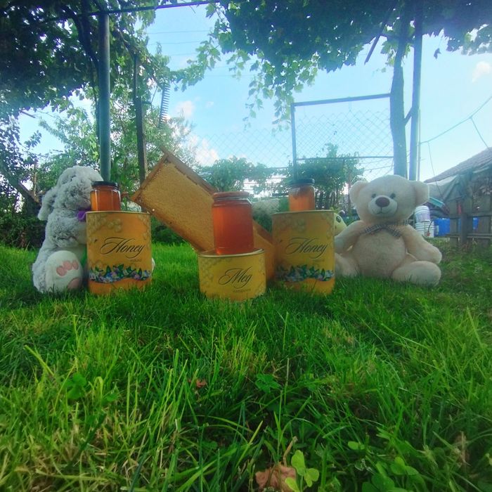 Натурален пчелен мед