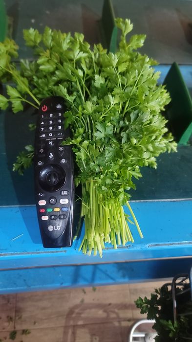 Pătrunjel verde la kg sau legături