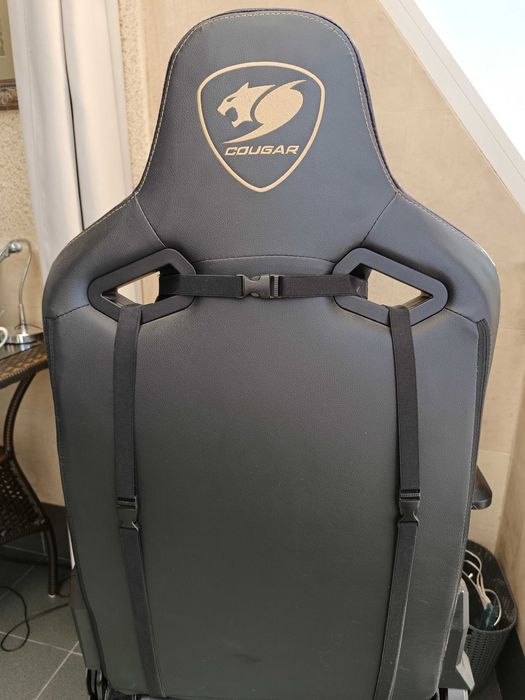 Cougar Outrider S Royal