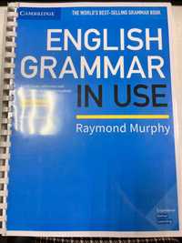 English grammar in use  *fifth edition* intermediate with answers
