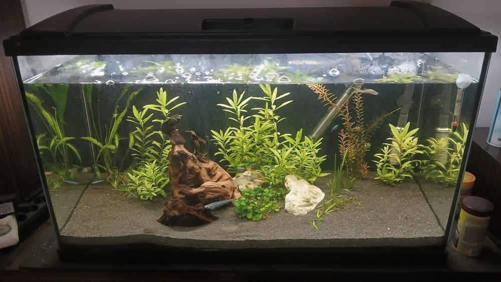 Acvariu eheim 126 l complet cu filtru extern