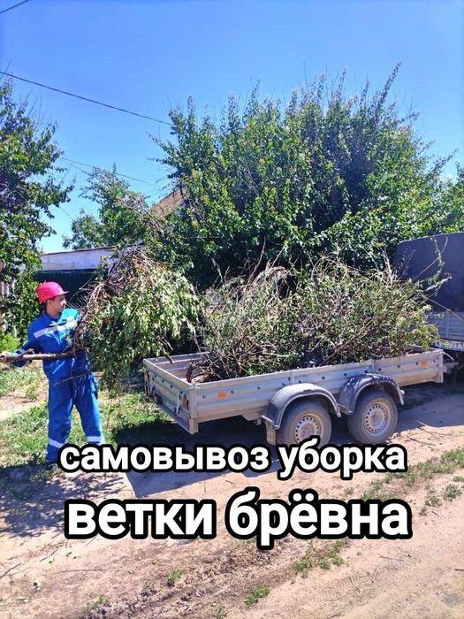 Спил деревьев здравствуйте мы предлагаем удобный  сервис суборкой